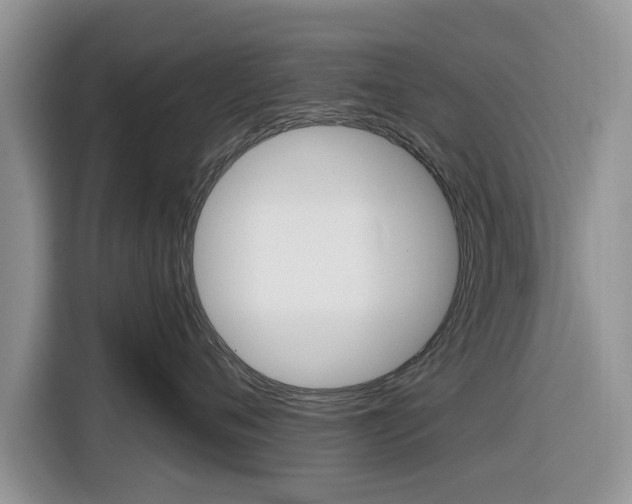 X0000116830720200912181054