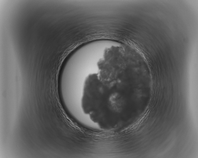 X0000116830721200912181053