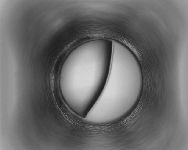 X0000116830722200912181053