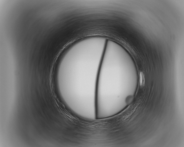 X0000116830723200912181053