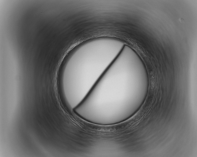 X0000116830727200912181054