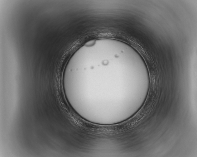 X0000116830729200912181054