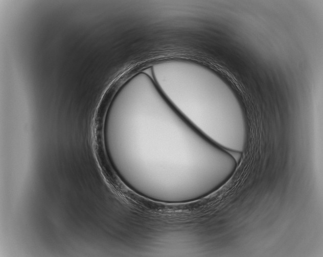 X0000116830730200912181054