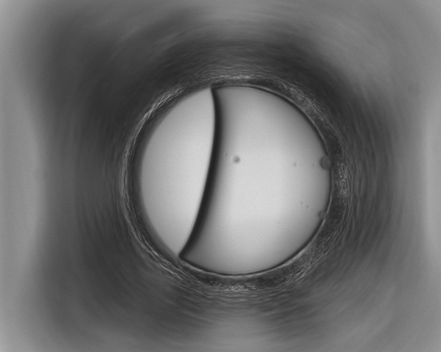 X0000116830731200912181054