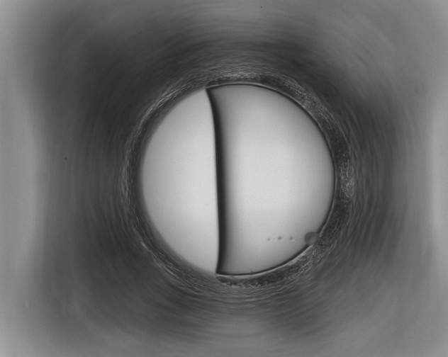 X0000116830735200912181054