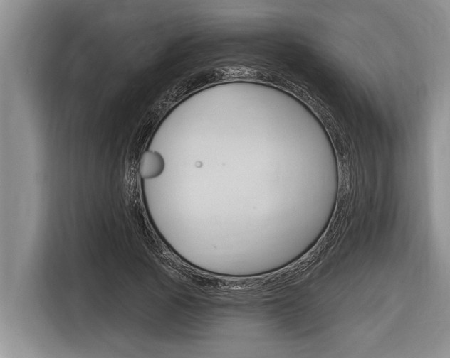 X0000116830737200912181054