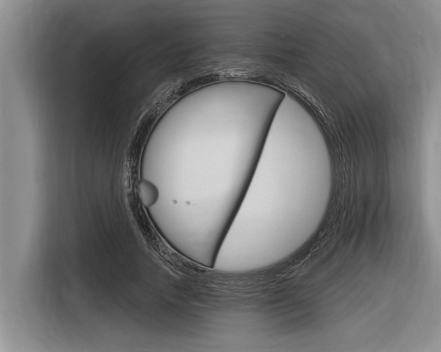 X0000116830738200912181054