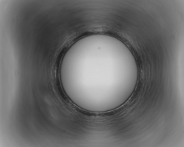 X0000116830739200912181054