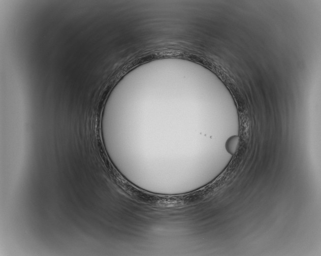 X0000116830745200912181054