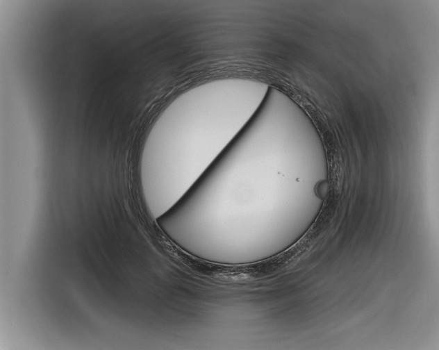 X0000116830747200912181054