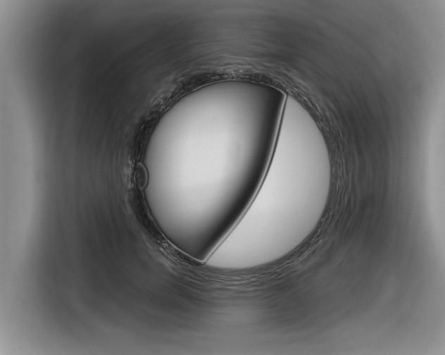 X0000116830750200912181054