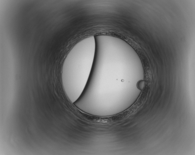 X0000116830751200912181054