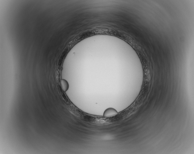 X0000116830753200912181054