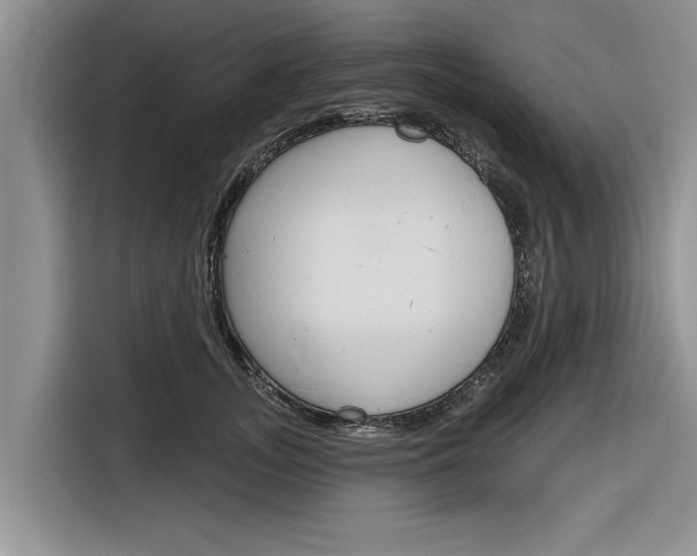 X0000116830755200912181054
