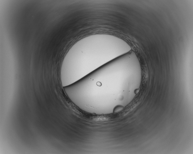 X0000116830759200912181054
