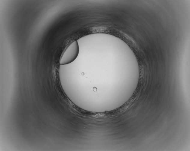 X0000116830761200912181054