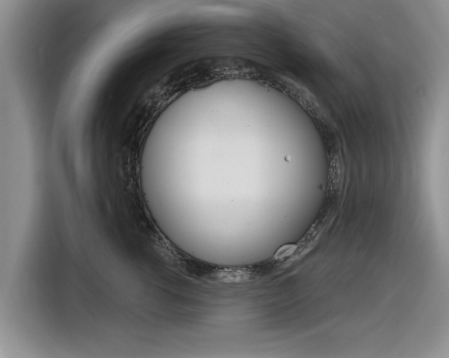 X0000116830762200912181054