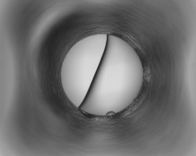X0000116830763200912181054