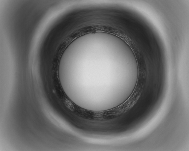 X0000116830766200912181054