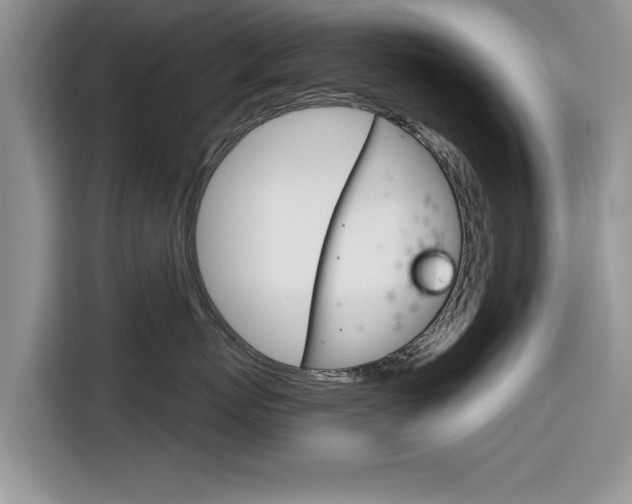 X0000116830767200912181054