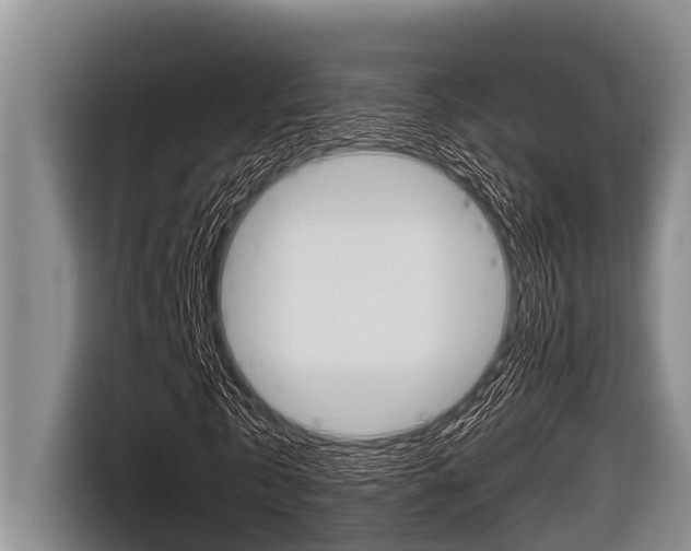 X0000116830769200912181053