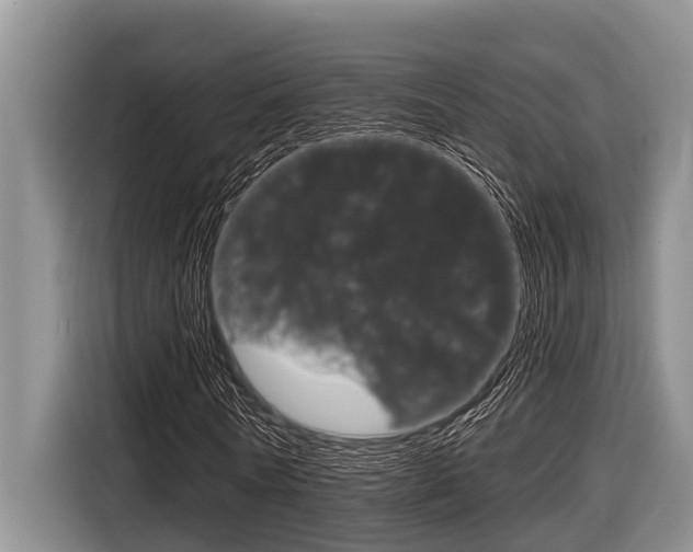 X0000116830770200912181053