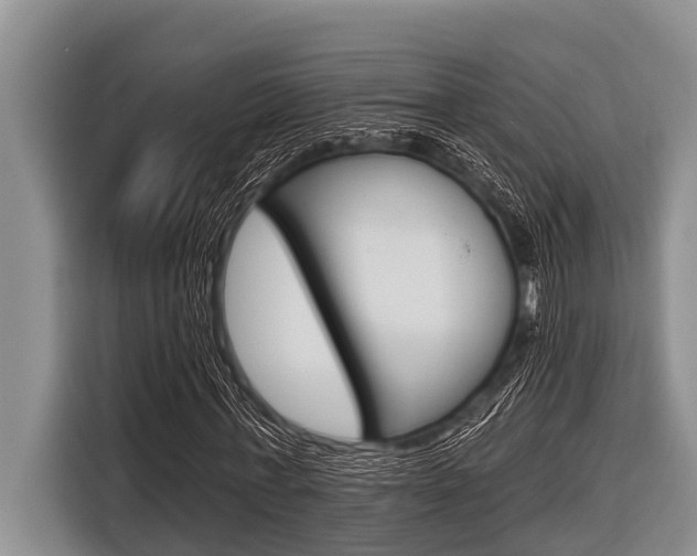 X0000116830771200912181053