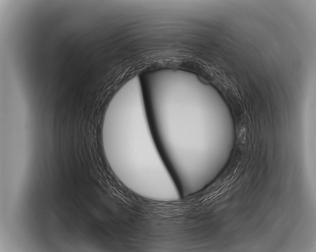 X0000116830772200912181053