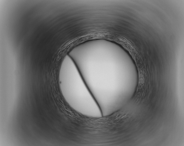 X0000116830773200912181053