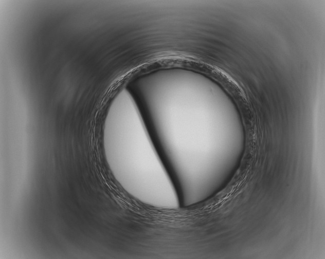 X0000116830775200912181053