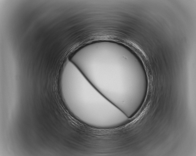 X0000116830777200912181053