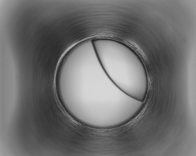 X0000116830780200912181053