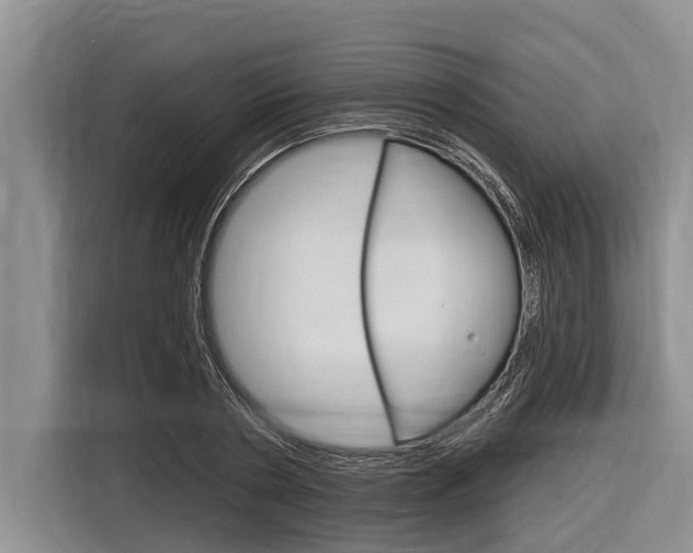 X0000116830786200912181053