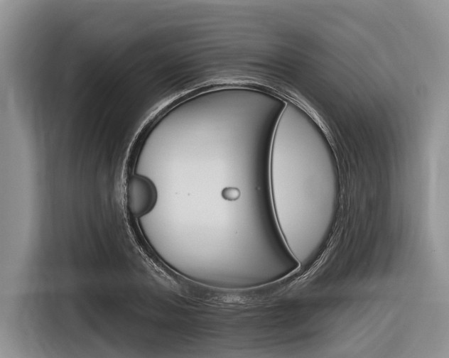 X0000116830787200912181053