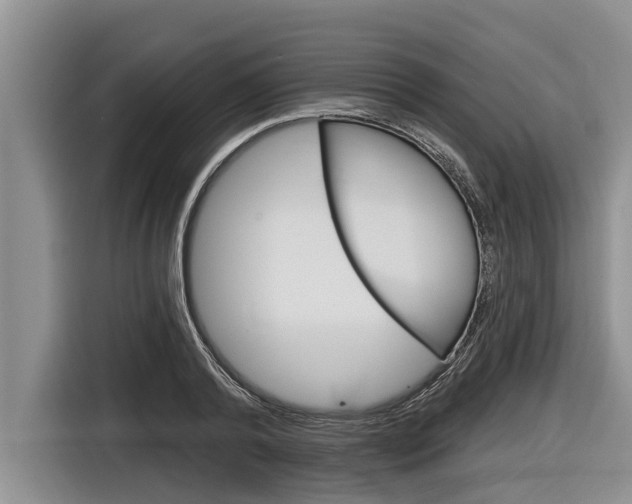 X0000116830792200912181053