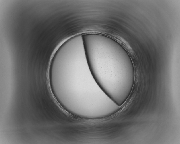 X0000116830796200912181053