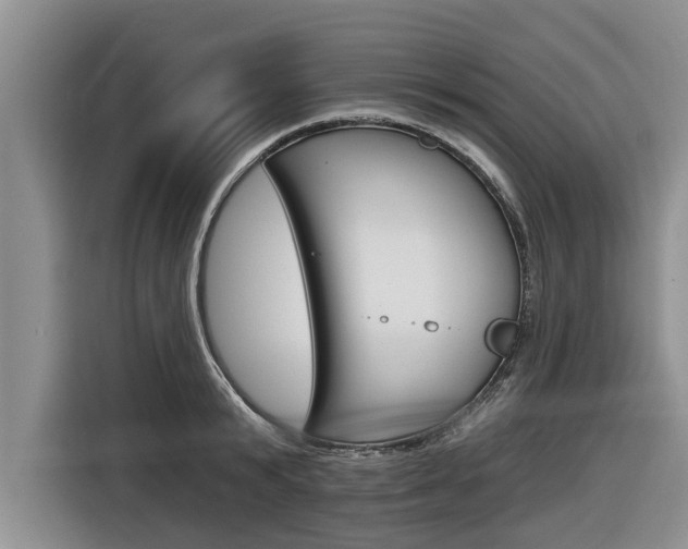 X0000116830799200912181053