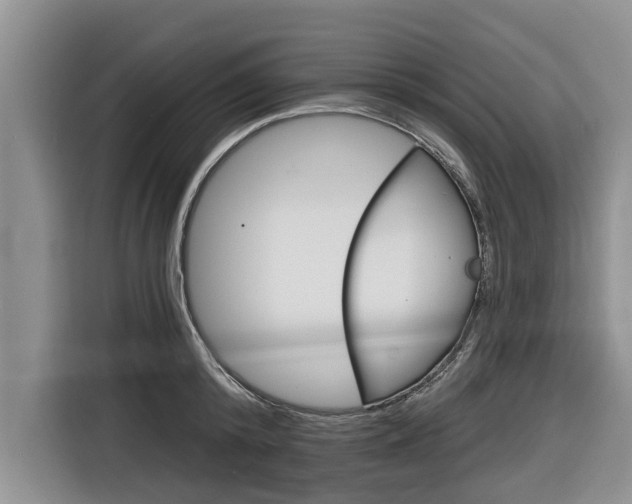 X0000116830800200912181053