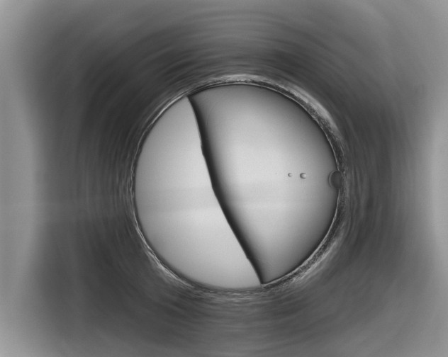 X0000116830801200912181053