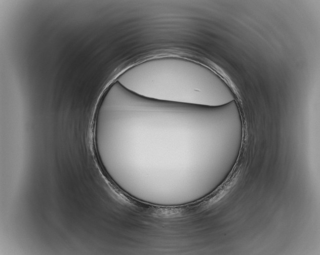X0000116830802200912181053