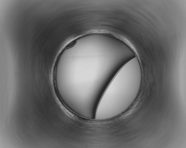 X0000116830803200912181053