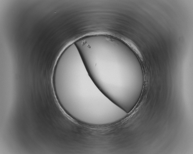X0000116830805200912181053