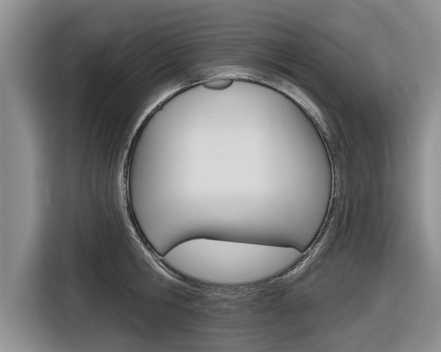 X0000116830806200912181053