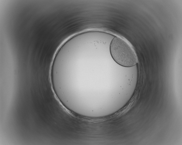 X0000116830807200912181053