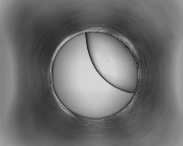 X0000116830808200912181053