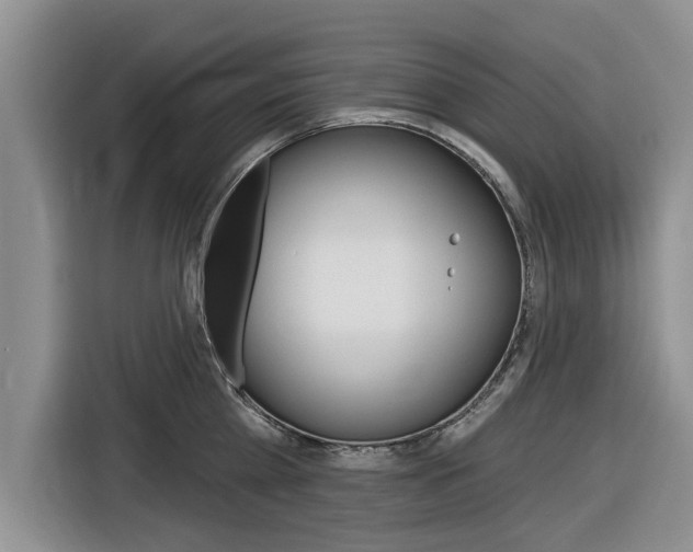 X0000116830809200912181053