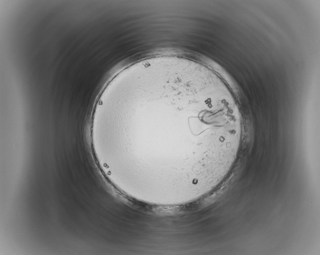 X0000116830810200912181053