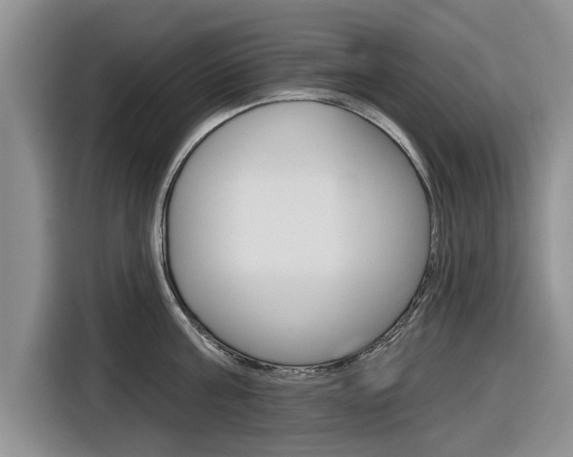 X0000116830811200912181053