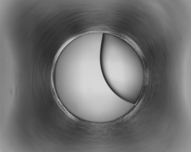 X0000116830812200912181053