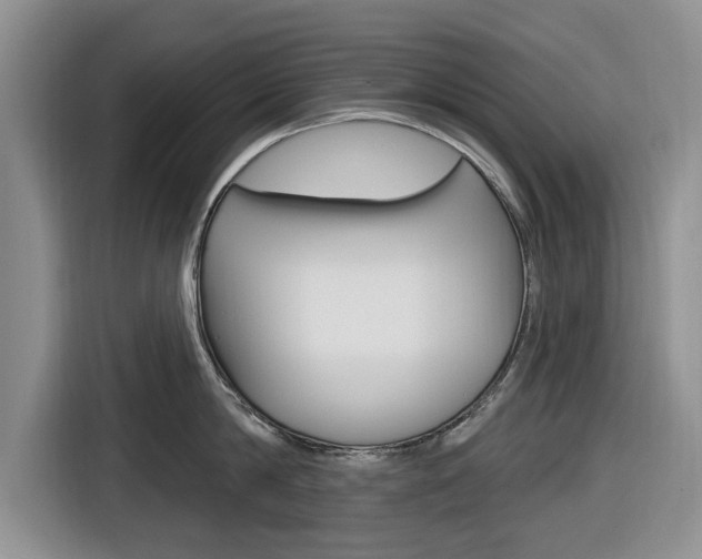 X0000116830814200912181053